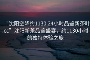 “沈陽(yáng)空降約1130.24小時(shí)品鑒新茶葉.cc”沈陽(yáng)新茶品鑒盛宴，約1130小時(shí)的獨特體驗之旅