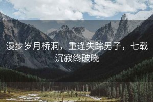 漫步歲月橋洞，重逢失蹤男子，七載沉寂終破曉