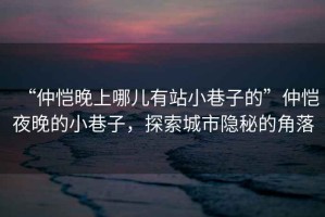 “仲愷晚上哪兒有站小巷子的”仲愷夜晚的小巷子，探索城市隱秘的角落