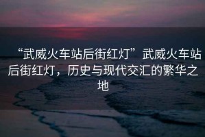 “武威火車(chē)站后街紅燈”武威火車(chē)站后街紅燈，歷史與現代交匯的繁華之地