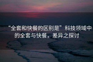 “全套和快餐的區別是”科技領(lǐng)域中的全套與快餐，差異之探討