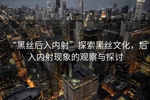 “黑絲后入內射”探索黑絲文化，后入內射現象的觀(guān)察與探討