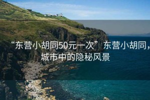 “東營(yíng)小胡同50元一次”東營(yíng)小胡同，城市中的隱秘風(fēng)景