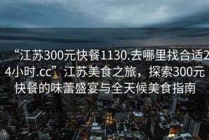 “江蘇300元快餐1130.去哪里找合適24小時(shí).cc”江蘇美食之旅，探索300元快餐的味蕾盛宴與全天候美食指南