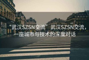 “武漢SZSN交流”武漢SZSN交流，一座城市與技術(shù)的深度對話(huà)