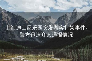 上海迪士尼樂(lè )園突發(fā)游客打架事件，警方迅速介入通報情況