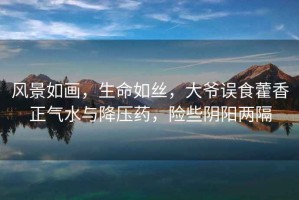 風(fēng)景如畫(huà)，生命如絲，大爺誤食藿香正氣水與降壓藥，險些陰陽(yáng)兩隔