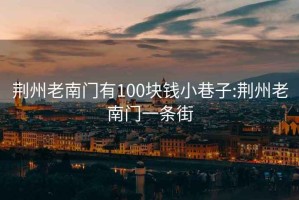 荊州老南門(mén)有100塊錢(qián)小巷子:荊州老南門(mén)一條街