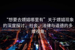 “想要去嫖娼哪里有”關(guān)于嫖娼現象的深度探討，社會(huì )、法律與道德的多維視角