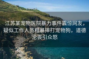 江蘇某寵物醫院暴力事件震驚網(wǎng)友，疑似工作人員粗暴摔打寵物狗，道德淪喪引眾怒