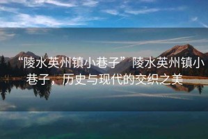 “陵水英州鎮小巷子”陵水英州鎮小巷子，歷史與現代的交織之美