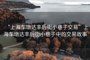 “上海車(chē)墩達豐后街小巷子交易”上海車(chē)墩達豐后街小巷子中的交易故事