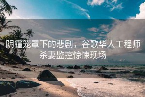 陰霾籠罩下的悲劇，谷歌華人工程師殺妻監控驚悚現場(chǎng)