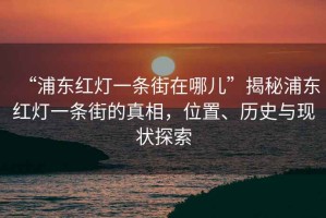 “浦東紅燈一條街在哪兒”揭秘浦東紅燈一條街的真相，位置、歷史與現狀探索