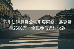 蘇州法院懸賞公告引爆網(wǎng)絡(luò )，最高賞金2600萬(wàn)，全民參與追討欠款