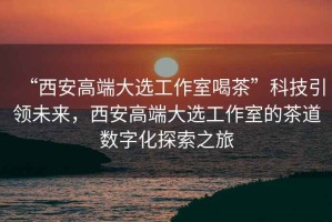 “西安高端大選工作室喝茶”科技引領(lǐng)未來(lái)，西安高端大選工作室的茶道數字化探索之旅