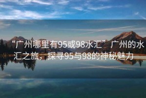 “廣州哪里有95或98水匯”廣州的水匯之旅，探尋95與98的神秘魅力