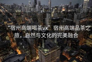 “宿州高端喝茶vx”宿州高端品茶之旅，自然與文化的完美融合