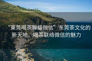 “東莞喝茶聯(lián)絡(luò )微信”東莞茶文化的新天地，喝茶聯(lián)絡(luò )微信的魅力