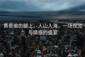 黃景瑜的腿上，人山人海，一場(chǎng)視覺(jué)與情感的盛宴