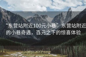 “東營(yíng)站附近100元小巷”東營(yíng)站附近的小巷奇遇，百元之下的驚喜體驗