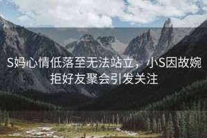 S媽心情低落至無(wú)法站立，小S因故婉拒好友聚會(huì )引發(fā)關(guān)注