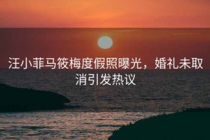 汪小菲馬筱梅度假照曝光，婚禮未取消引發(fā)熱議