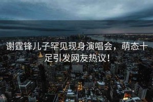 謝霆鋒兒子罕見(jiàn)現身演唱會(huì )，萌態(tài)十足引發(fā)網(wǎng)友熱議！
