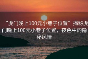 “虎門(mén)晚上100元小巷子位置”揭秘虎門(mén)晚上100元小巷子位置，夜色中的隱秘風(fēng)情