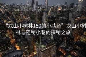 “龍山小樹(shù)林150的小巷子”龍山小樹(shù)林與隱秘小巷的探秘之旅