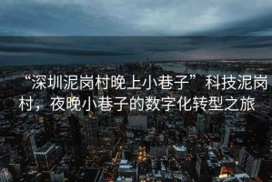 “深圳泥崗村晚上小巷子”科技泥崗村，夜晚小巷子的數字化轉型之旅