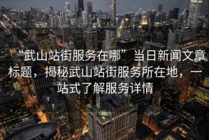 “武山站街服務(wù)在哪”當日新聞文章標題，揭秘武山站街服務(wù)所在地，一站式了解服務(wù)詳情