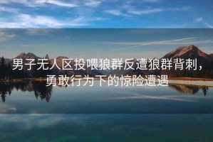 男子無(wú)人區投喂狼群反遭狼群背刺，勇敢行為下的驚險遭遇