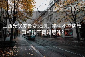山西光伏美景變悲劇，學(xué)生不幸遇難，真相揭開(kāi)竟是意外？