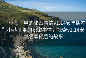 “小巷子里的秘密事情v1.14安卓版本”小巷子里的秘密事情，探索v1.14安卓版本背后的故事