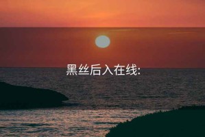 黑絲后入在線(xiàn):