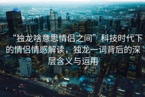 “獨龍啥意思情侶之間”科技時(shí)代下的情侶情感解讀，獨龍一詞背后的深層含義與運用