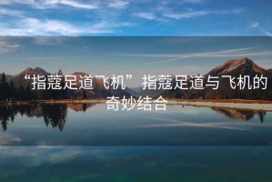 “指蔻足道飛機”指蔻足道與飛機的奇妙結合