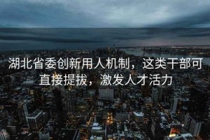湖北省委創(chuàng  )新用人機制，這類(lèi)干部可直接提拔，激發(fā)人才活力