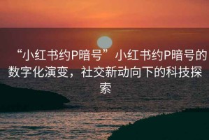 “小紅書(shū)約P暗號”小紅書(shū)約P暗號的數字化演變，社交新動(dòng)向下的科技探索