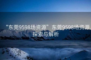 “東莞9598場(chǎng)資源”東莞9598場(chǎng)資源，探索與解析