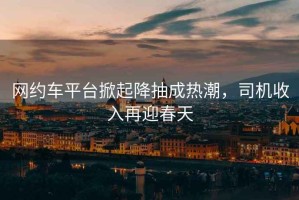 網(wǎng)約車(chē)平臺掀起降抽成熱潮，司機收入再迎春天
