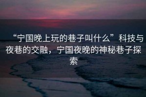 “寧國晚上玩的巷子叫什么”科技與夜巷的交融，寧國夜晚的神秘巷子探索