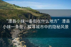 “澧縣小妹一條街在什么地方”澧縣小妹一條街，探尋城市中的隱秘風(fēng)景