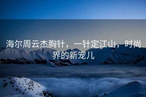 海爾周云杰胸針，一針定江山，時(shí)尚界的新寵兒