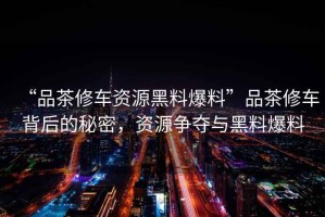 “品茶修車(chē)資源黑料爆料”品茶修車(chē)背后的秘密，資源爭奪與黑料爆料