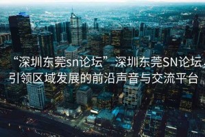 “深圳東莞sn論壇”深圳東莞SN論壇，引領(lǐng)區域發(fā)展的前沿聲音與交流平臺
