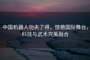 中國機器人功夫了得，驚艷國際舞臺，科技與武術(shù)完美融合