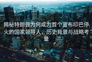 揭秘特朗普為何成為首個(gè)宣布印巴?；鸬膰翌I(lǐng)導人，歷史背景與戰略考量