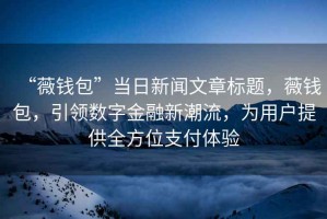 “薇錢(qián)包”當日新聞文章標題，薇錢(qián)包，引領(lǐng)數字金融新潮流，為用戶(hù)提供全方位支付體驗